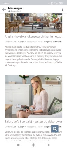 Niewidoczne tytuły postów blogowych.JPG